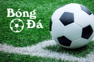Quy Định Về Bóng Trong Cuộc Và Bóng Ngoài Cuộc Theo Luật FIFA