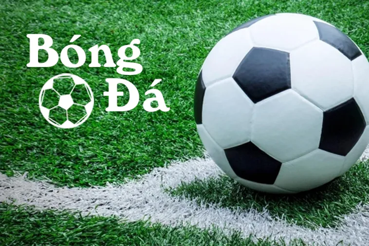 Quy Định Về Bóng Trong Cuộc Và Bóng Ngoài Cuộc Theo Luật FIFA