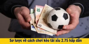 Phân Tích Kèo Tài Xỉu 2.75 Và Chiến Thuật Đầu Tư Cho Các Trận Cầu Bùng Nổ