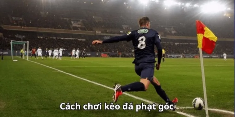 Tìm Hiểu Kèo Phạt Góc Và Bí Quyết Dự Đoán Chính Xác Thông Số Góc