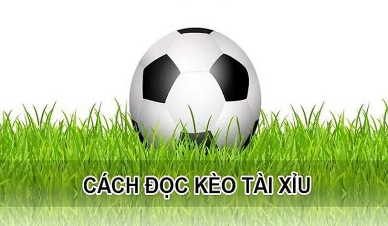 Chinh Phục Kèo Tài Xỉu Hiệp 1 Để Khởi Đầu Đầu Tư Thuận Lợi