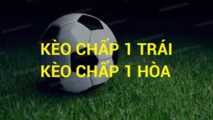 Bí Quyết Đầu Tư Kèo Chấp 1 Và Chiến Thuật Tối Ưu Hóa Lợi Nhuận