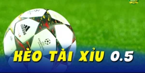Cẩm Nang Toàn Diện Về Kèo Tài Xỉu Và Cách Soi Tỷ Lệ Chuẩn Xác