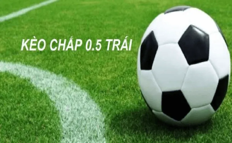 Bí Quyết Soi Kèo Chấp 0.5 Và Cách Nhận Diện Đội Bóng Có Khả Năng Thắng Trận