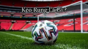 Nghệ Thuật Đọc Trận Đấu Và Chiến Thuật Chinh Phục Kèo Rung Hiệu Quả